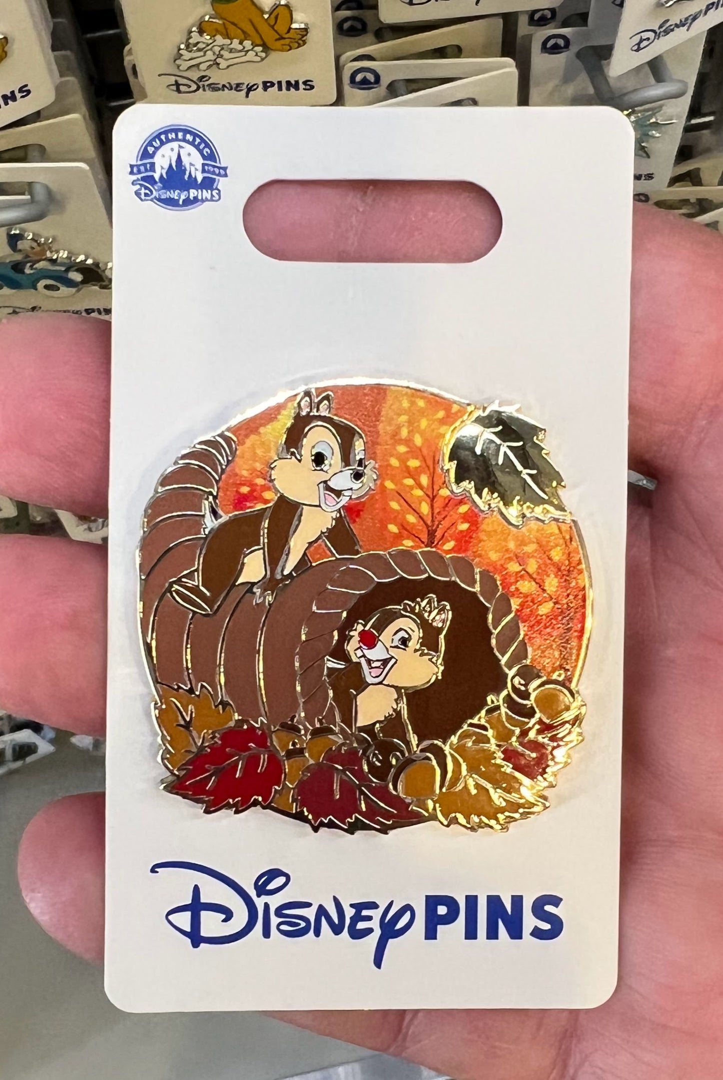 Chip & Dale Cornucopia Disney Pin