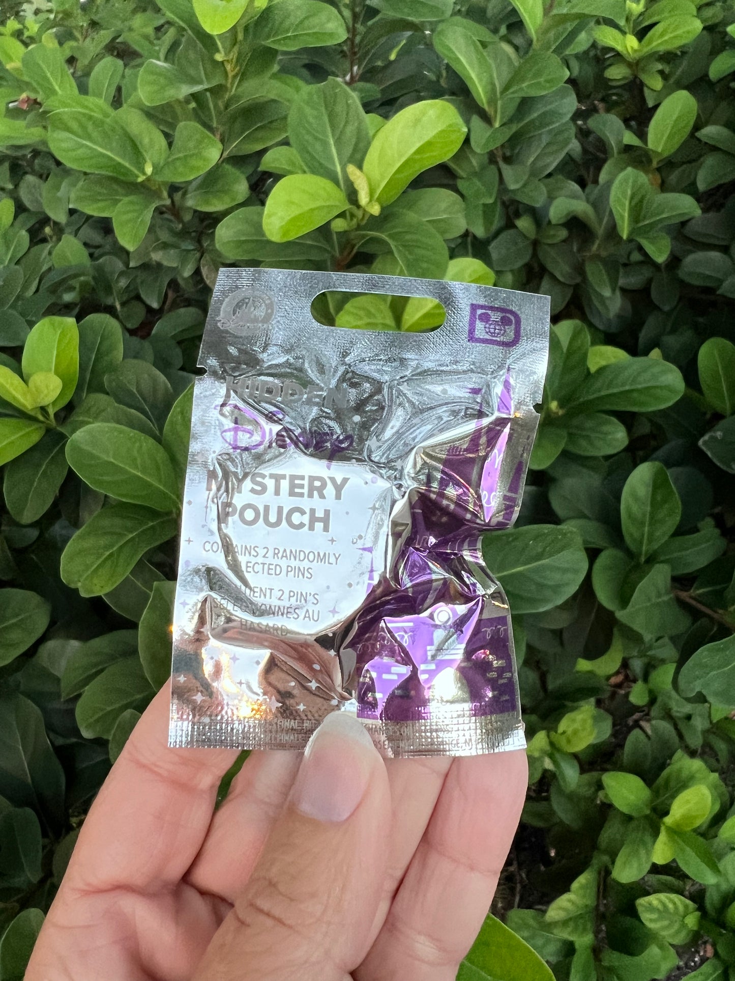 2026 Hidden Disney Wave B Mystery Pin Pouch