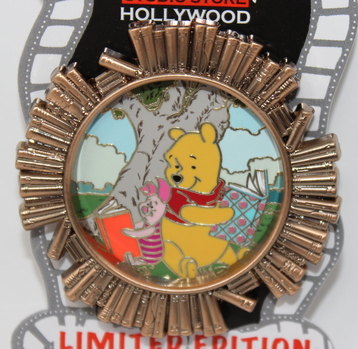 Winnie the Pooh & Piglet D23 Expo 2024 Circle of Books DSSH Disney Pin