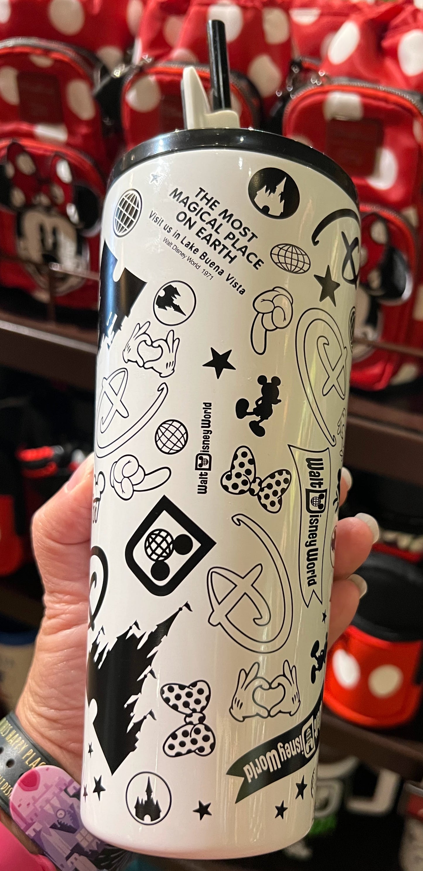 White Walt Disney World Metal Tumbler 22oz