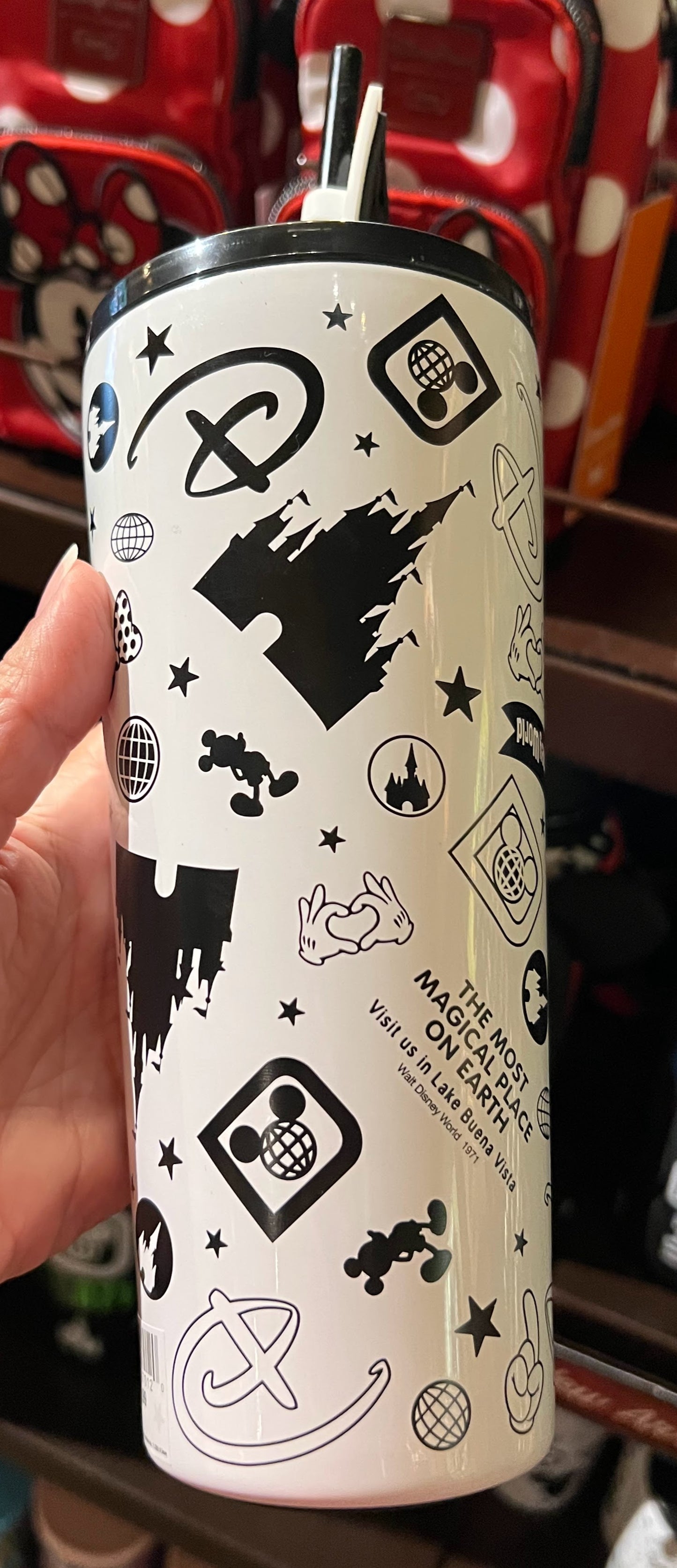 White Walt Disney World Metal Tumbler 22oz