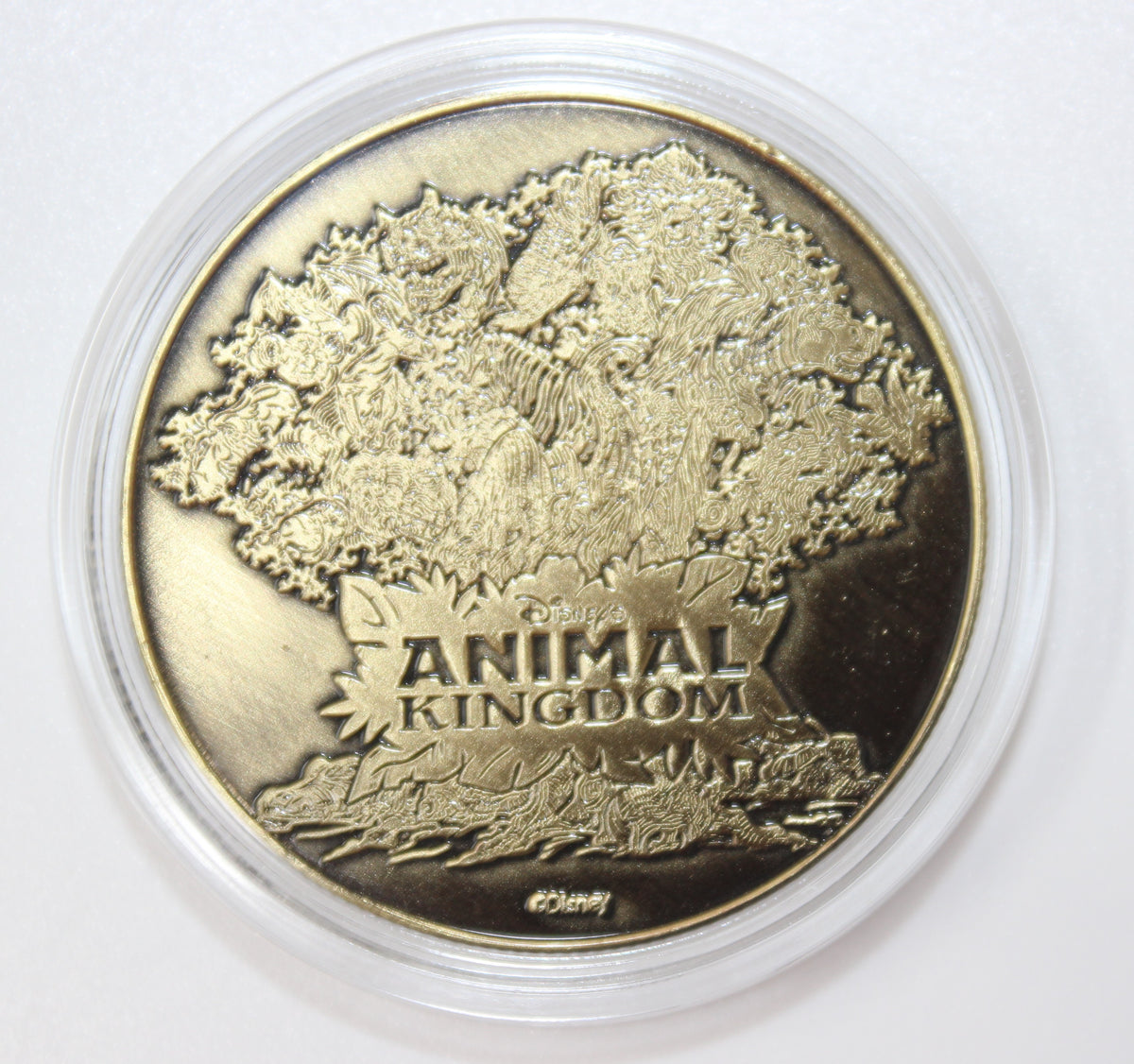 Goofy Animal Kingdom Disney Medallion