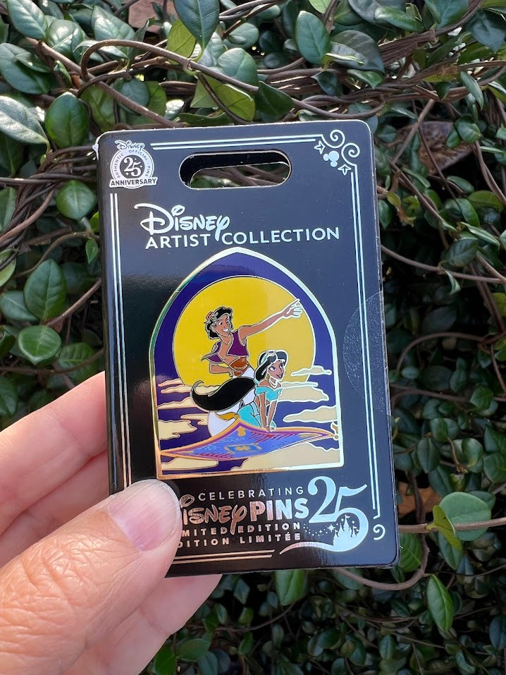 Aladdin & Jasmine A Whole New World Artist Collection Limited Edition Disney Pin