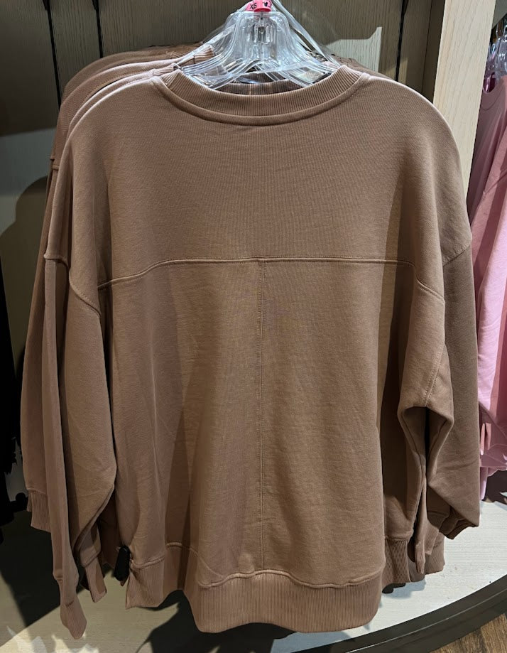 Brown Walt Disney World Sweatshirt