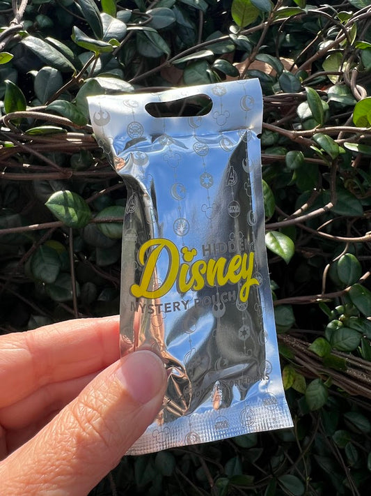 2022-23 Hidden Disney Mystery Pin Pouch