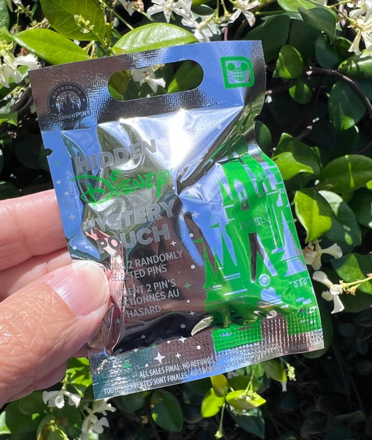 2026 Hidden Disney Wave A Mystery Pin Pouch