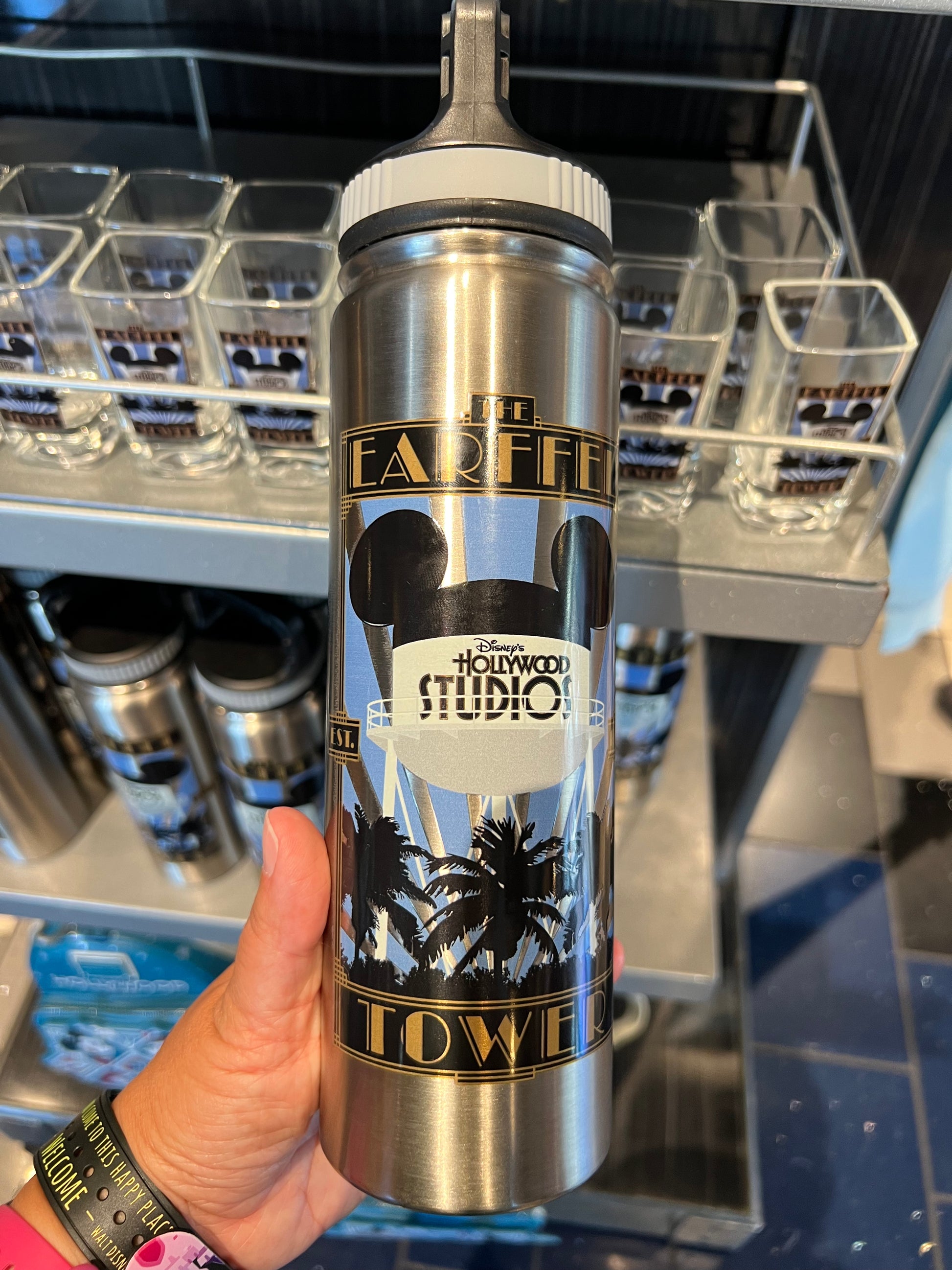 Hollywood Studios Earffel Tower Metal Water Bottle