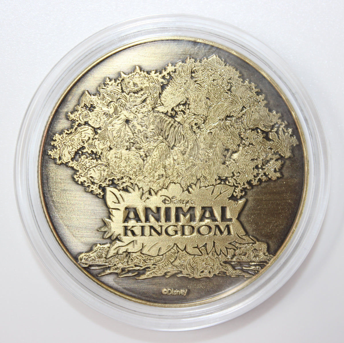 Donald Duck Animal Kingdom Disney Medallion
