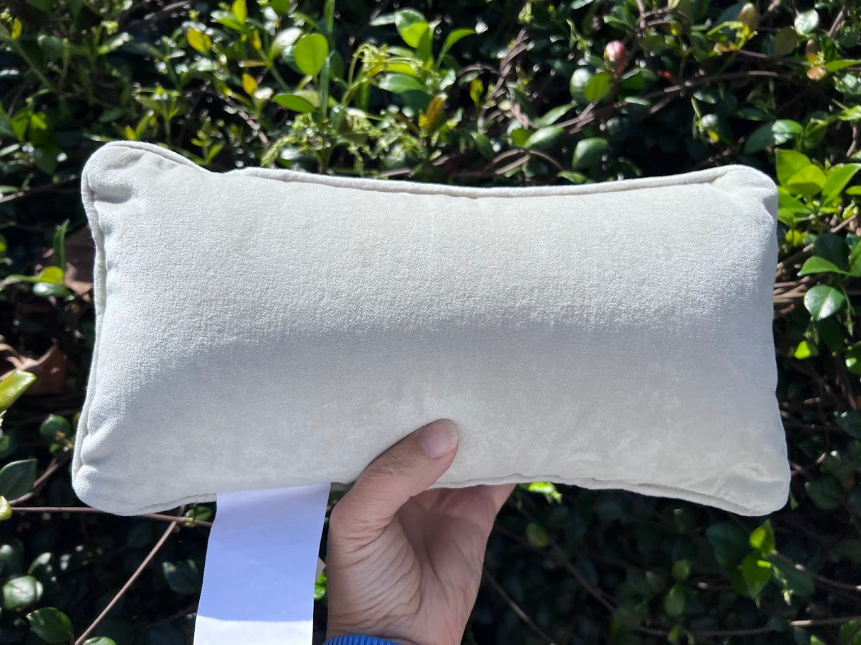 Por Favor Mantengase Alejado de las Puertas Monorail Throw Pillow