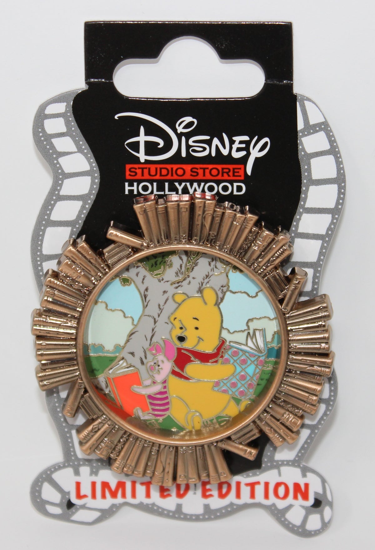 Winnie the Pooh & Piglet D23 Expo 2024 Circle of Books DSSH Disney Pin