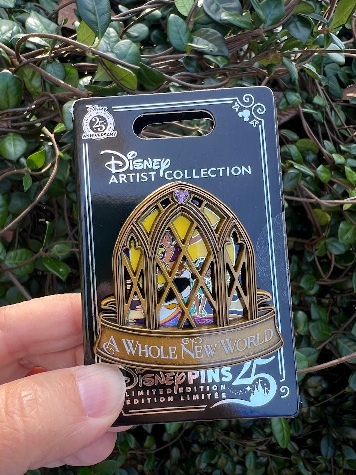 Aladdin & Jasmine A Whole New World Artist Collection Limited Edition Disney Pin