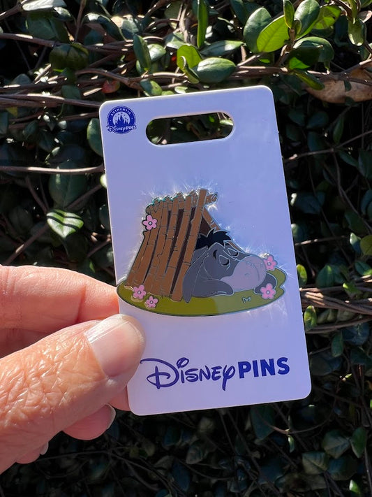 Eeyore Sleeping Disney Pin