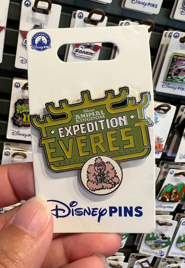Expedition Everest Disney Pin