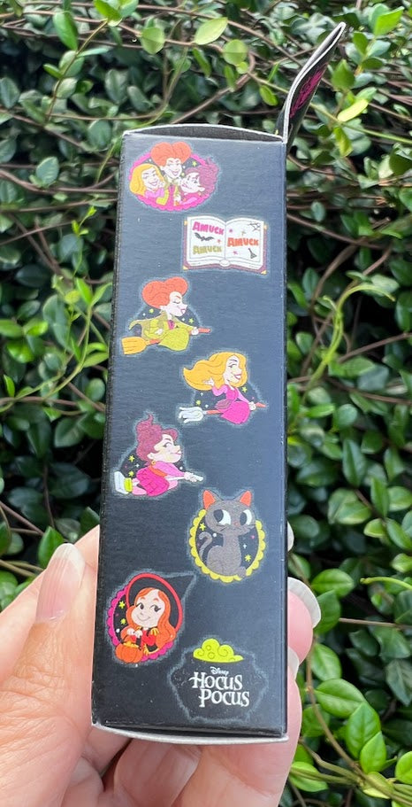 Hocus Pocus Limited Release Mystery Disney Pin Pack