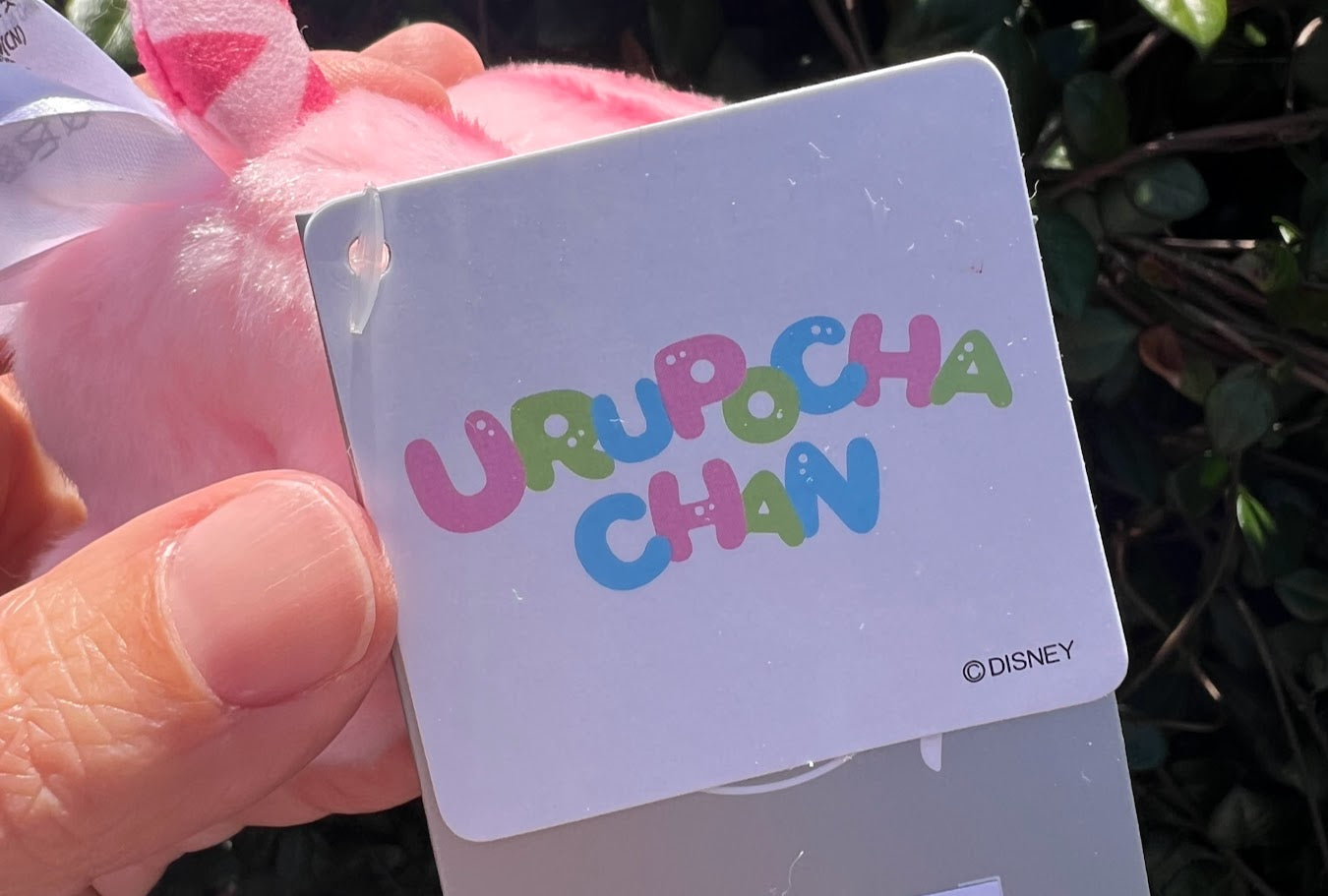 Tigger Sakura Urupocha Chan Disney Mini Plush